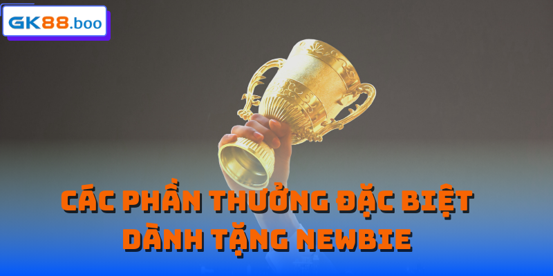 Các phần thưởng đặc biệt dành tặng newbie